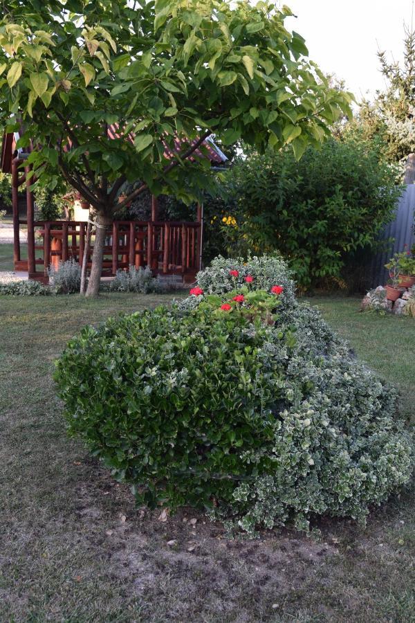 Hotel Prokop Vendeghaz Tolcsva Zewnętrze zdjęcie